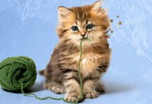 AI-Generated Animal Videos Blur the Line Between Entertainment and Reality
