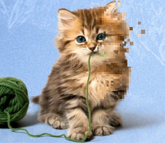 AI-Generated Animal Videos Blur the Line Between Entertainment and Reality