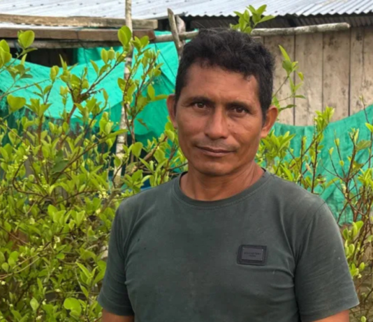 Colombian Farmer Returns to Coca After Legal Farming Fails to Provide a Living