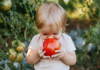 How Simple Daily Habits Can Help Children Eat More Vegetables for Life