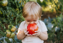 How Simple Daily Habits Can Help Children Eat More Vegetables for Life