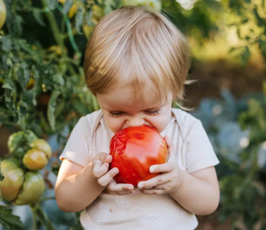 How Simple Daily Habits Can Help Children Eat More Vegetables for Life