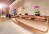 Inside the World’s Most Luxurious Airport Lounges Redefining Premium Travel