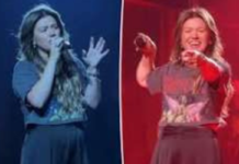 Kelly Clarkson Jokes About Parasite Scare After Mid-Show Health Incident During Las Vegas Concert