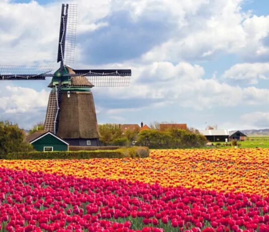 Spring Brings the Netherlands’ Most Colorful Tradition to Life