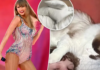 Taylor Swift’s tour photo sparked unexpected interest in a bestselling pillow